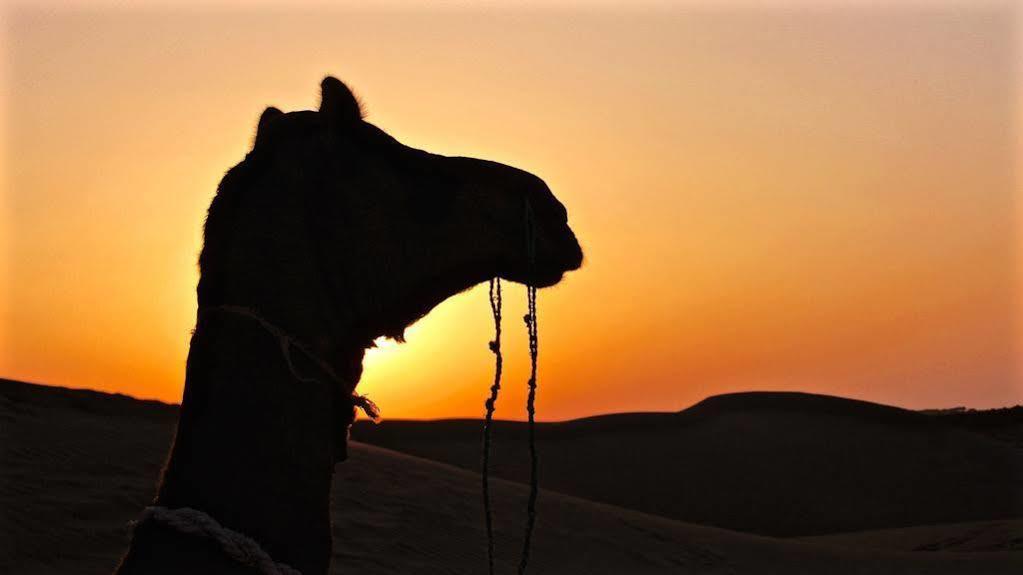 Damodra Desert Camp Jaisalmer Exterior photo
